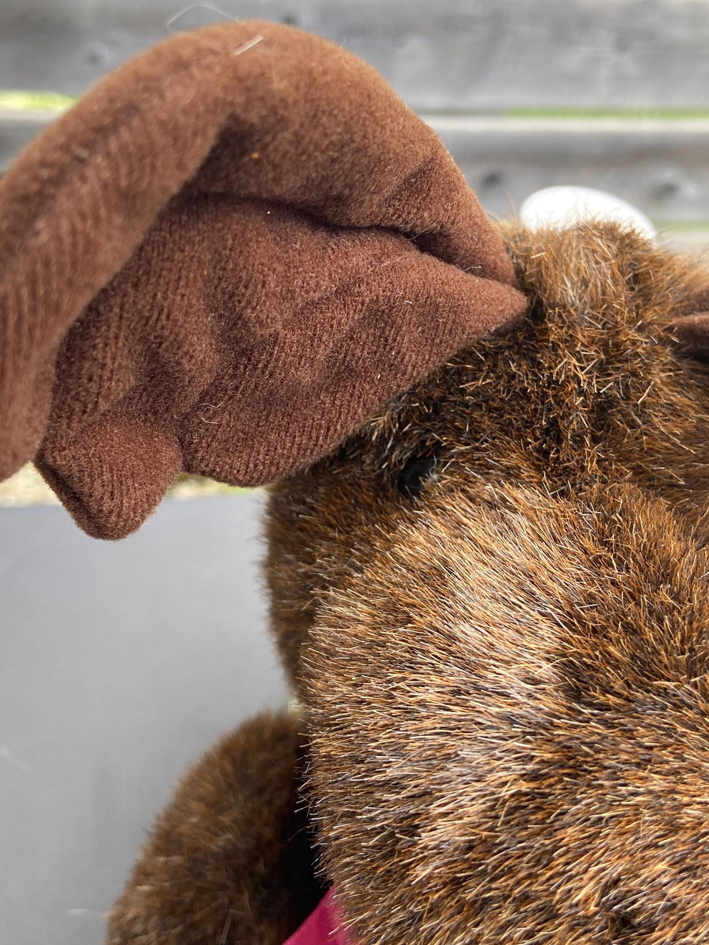 Russ Wildwood Sitting Moose Plush 12 Inch