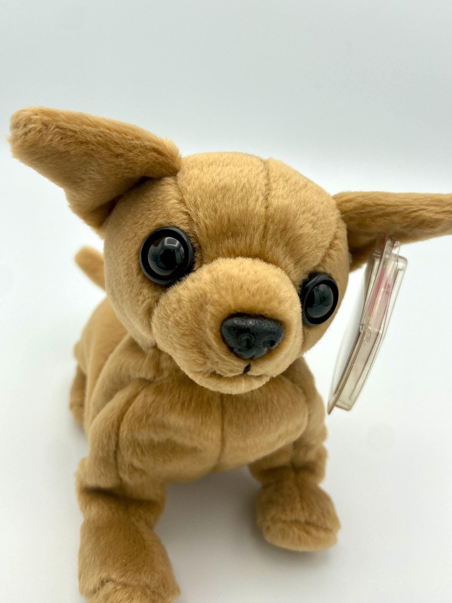 Vintage 1999 Ty Beanie Baby - Tiny the Chihuahua Dog 5 Inch Hand Picked Stuffed Animal