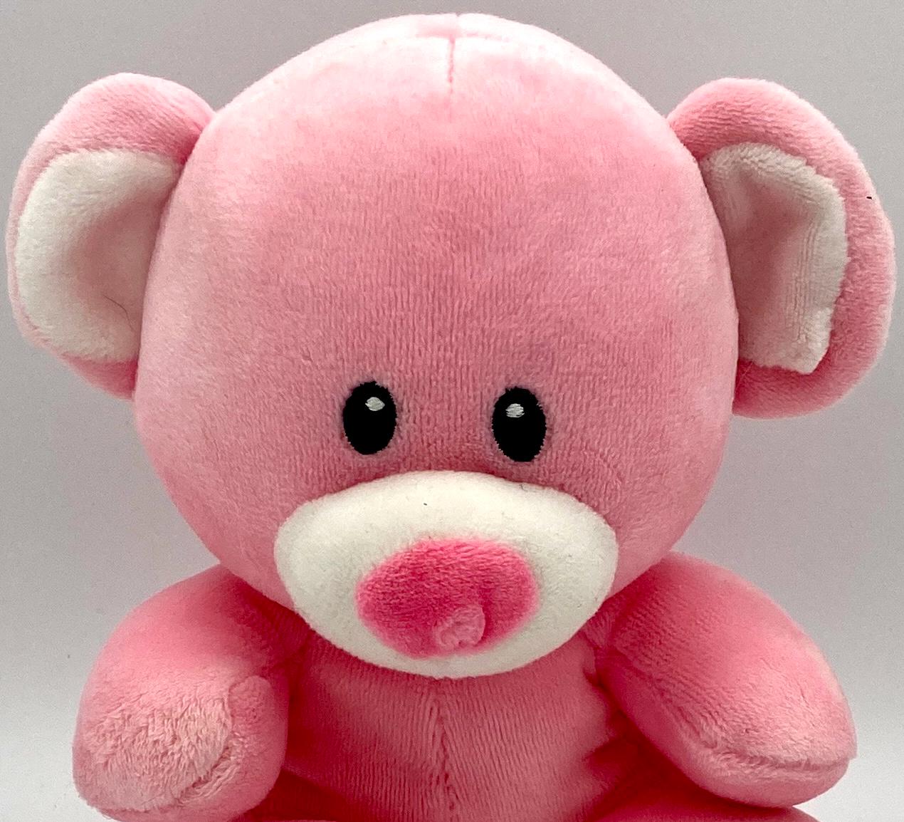 TY Baby Line “Princess” the Pink Bear - 6 Inch Soft and Super Cute for Baby
