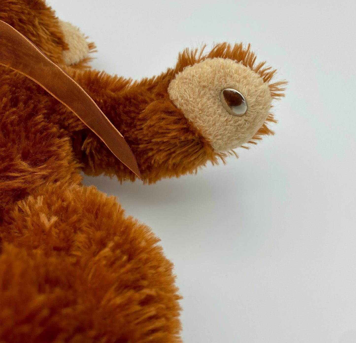 Lord's Prayer Bear - Recites Prayer in Child's Voice